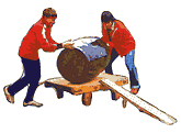 A cider barrel with a rider inside is rolled through an obstacle course.