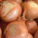 Onion